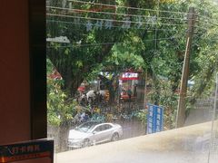 -淼福猪肚鸡·椰子鸡火锅(大沙地店)