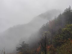 -牛头山森林公园