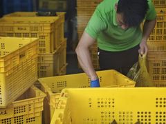 -召稼楼永茂昌粽子大王