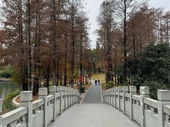 -四海公园(南山区)