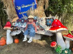 -HERRE·FARM 赫尔露营农场·团建聚会包场