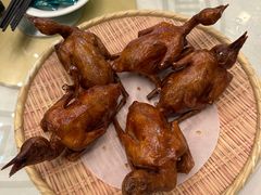 -五谷芳乳鸽王(海景店)