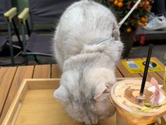 -火炉山森林公园