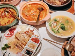 -Aqua Oasis 水天堂(太湖中心mall店)