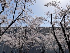 -龙美术馆(西岸馆)