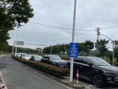 -上海佘山国家森林公园天马山园