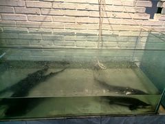 -红井路游艺炖锅·音乐餐吧(十渡店)