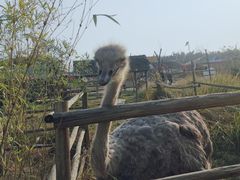 -青瓦房古村落