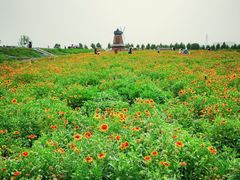 -君乐宝优致牧场