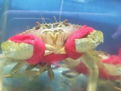 -三辣馆
