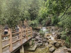 -南海湾森林生态园