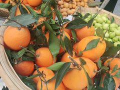 -宋记冕宁土菜馆(海门渔村二店)