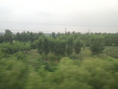 -邯郸东站