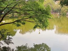 -人民公园(罗湖区)