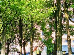 -重庆市江北嘴中央商务区中央公园