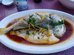 清蒸黄花鱼-星奇缘·海鲜餐厅(东山美食地标店)