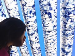 -璞真扎染博物馆