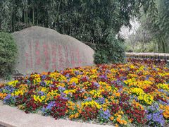 -东方绿舟景区