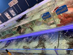 -盒马X会员店(上海森兰商都店)
