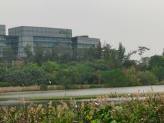-华侨城湿地公园