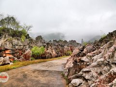 -千岛湖石林