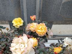 -野渡坡·极致湘菜·庭院餐厅(汉阳店)