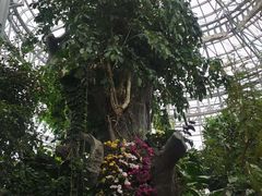 -郑州植物园