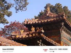 -故宫博物院(故宫)