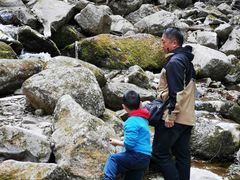 -青峰峡国家森林公园