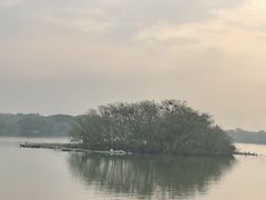 -海珠湖公园