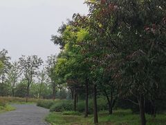 -东郊湿地公园