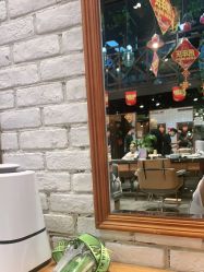 -T.1 hair salon烫染接发
