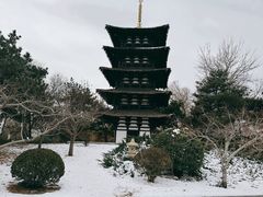 -北京世界公园