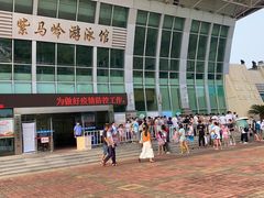 -紫马岭游泳馆
