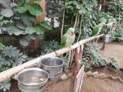 -南宫五洲植物乐园