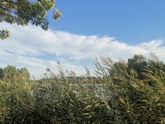 -马家湾湿地公园