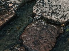 -中国茶叶博物馆(双峰馆区)