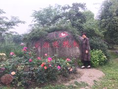-鹅湖玫瑰文化园