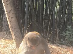 -苏州环秀晓筑养生度假村
