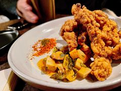 酥肉-毛辣果·酸