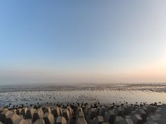 -碧海金沙