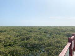 -北海金海湾红树林生态旅游区