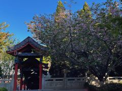 -石岛赤山风景区