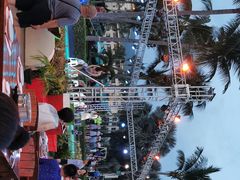 -渔家火锅·海鲜自助餐·演艺(亚龙湾天域酒店)