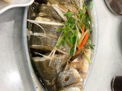 -东北饺子馆(马尾君竹店)