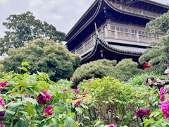 -龙华寺
