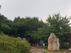 -北京西山国家森林公园