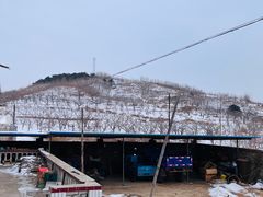 -永辉超市(红旗街万达广场店)