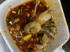 -烧哥美蛙肥肠鱼火锅·十五年社区店