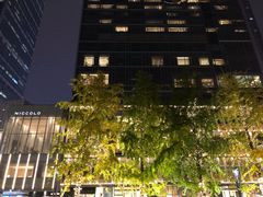 -成都尼依格罗酒店
